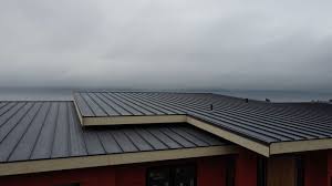 Best Green or Eco-Friendly Roofing Solutions  in Delta Junction, AK